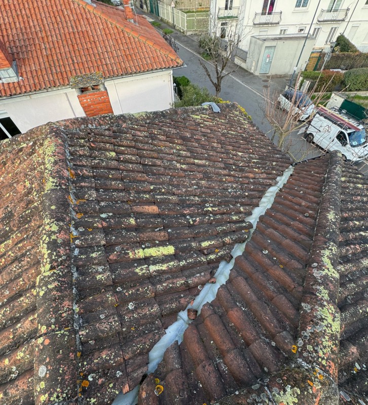 Quelles méthodes pour entretenir votre couverture remplie de mousse et verdure à Toulouse par CZMP