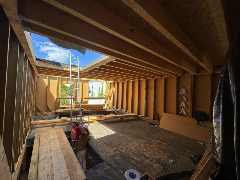 CZMP et l'utilisation des différentes essences de bois à Toulouse